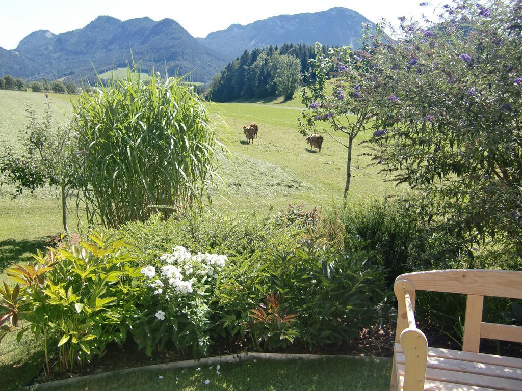 Haus Brandstaetter Lägenhet Grundlsee Exteriör bild